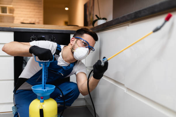 Best Ant Control Services  in Elma Center, NY