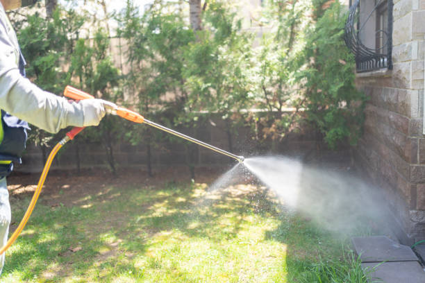 Best Flea Control Services  in Elma Center, NY