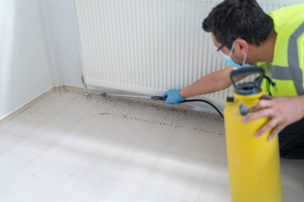 Best Affordable Pest Control Services  in Elma Center, NY