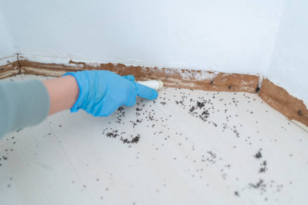 Best Pest Removal Services  in Elma Center, NY